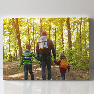 Feather Canvas Print - 24x30