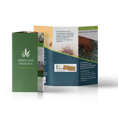 Flyers/Brochures 11" x 17"